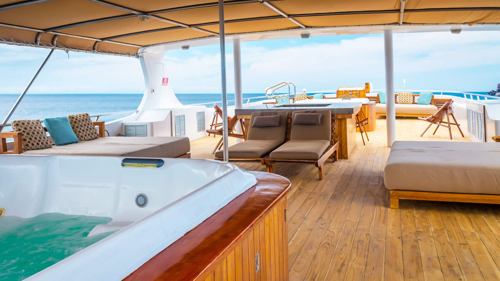 galapagos sea star journey