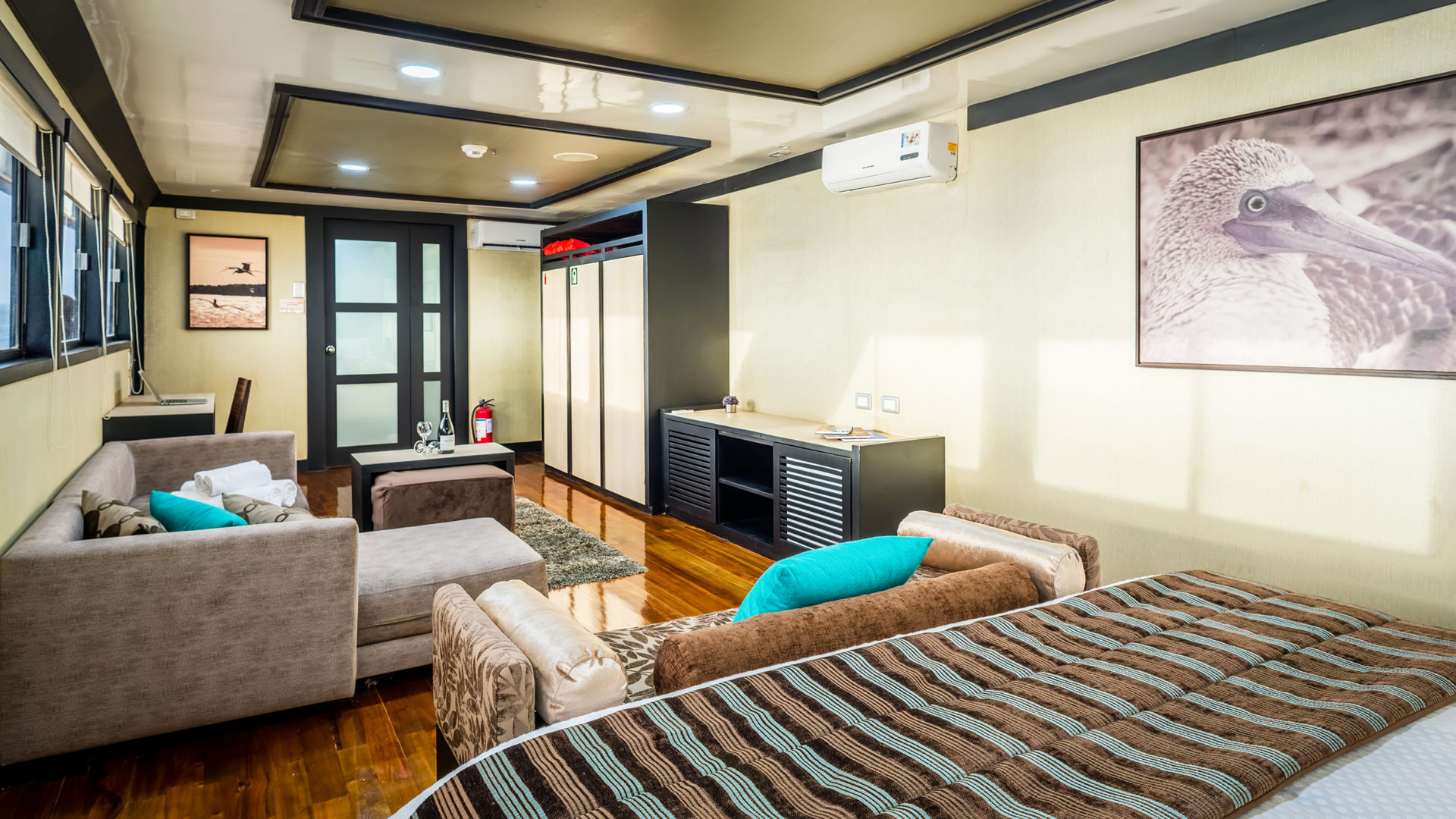 galapagos sea star journey