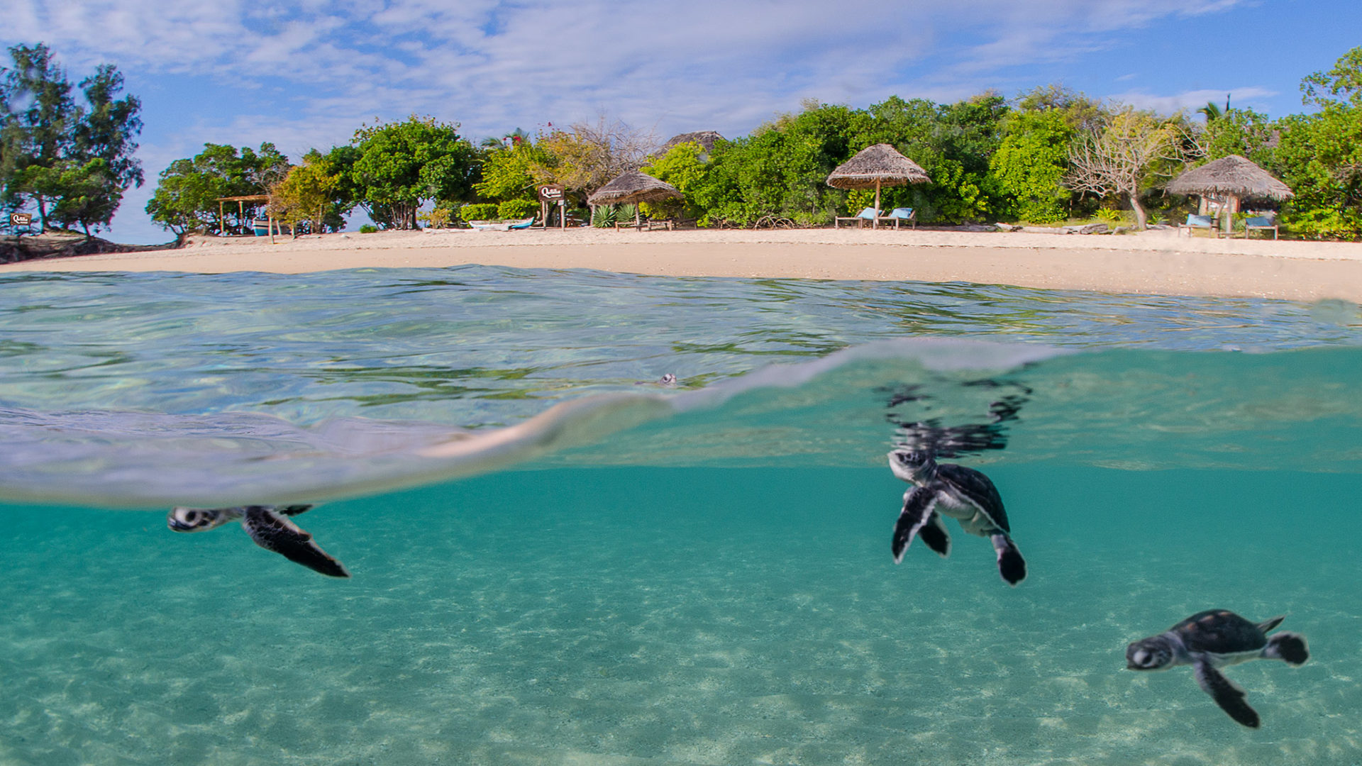 azura quilalea private island