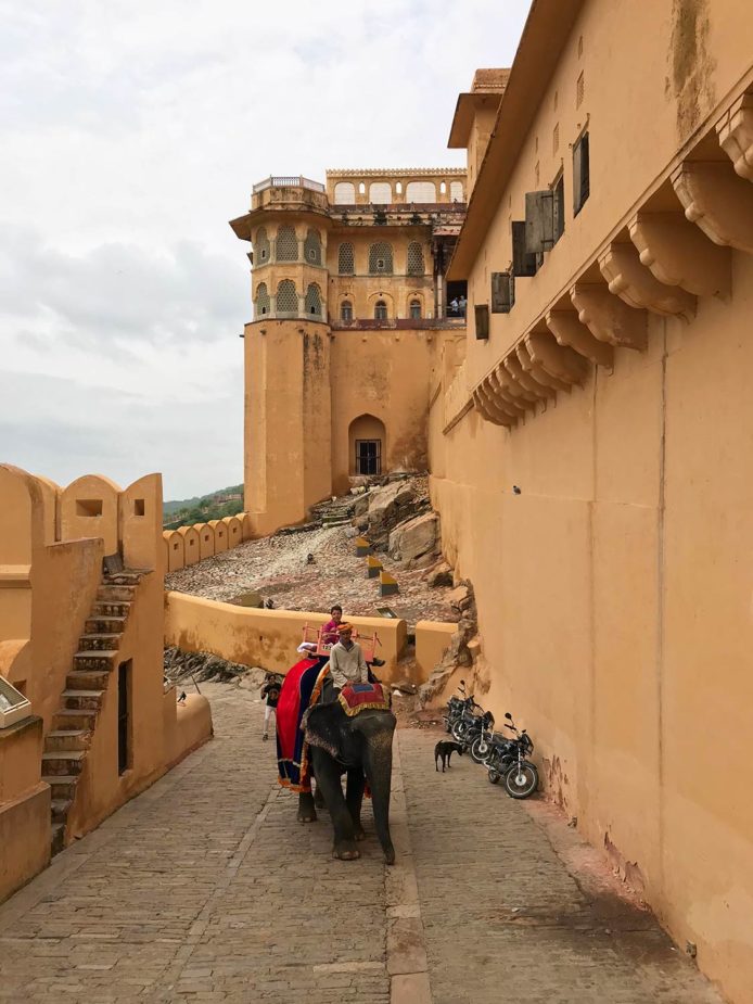 laura travel story india