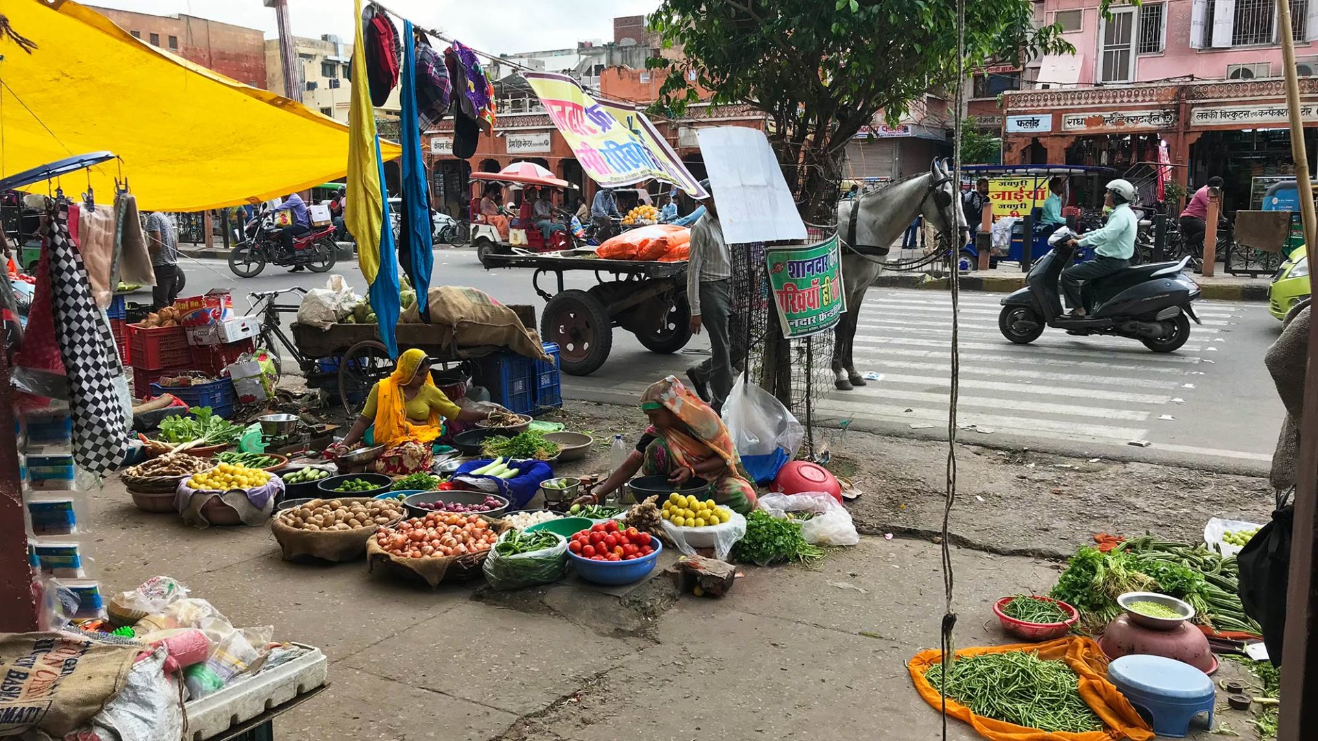 laura travel story india