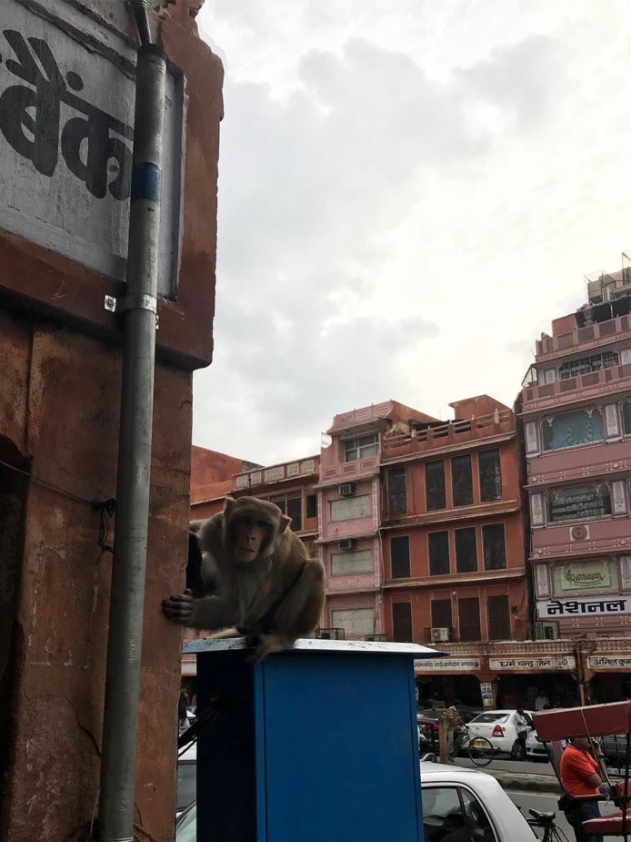 laura travel story india