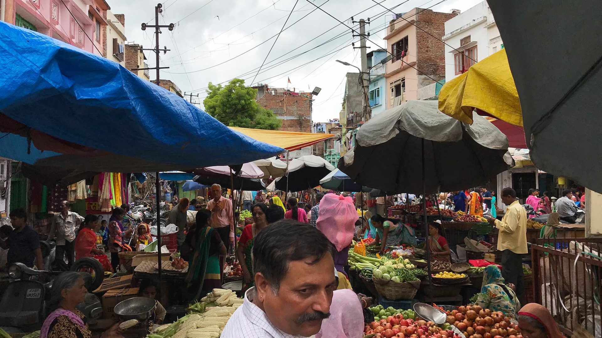 laura travel story india