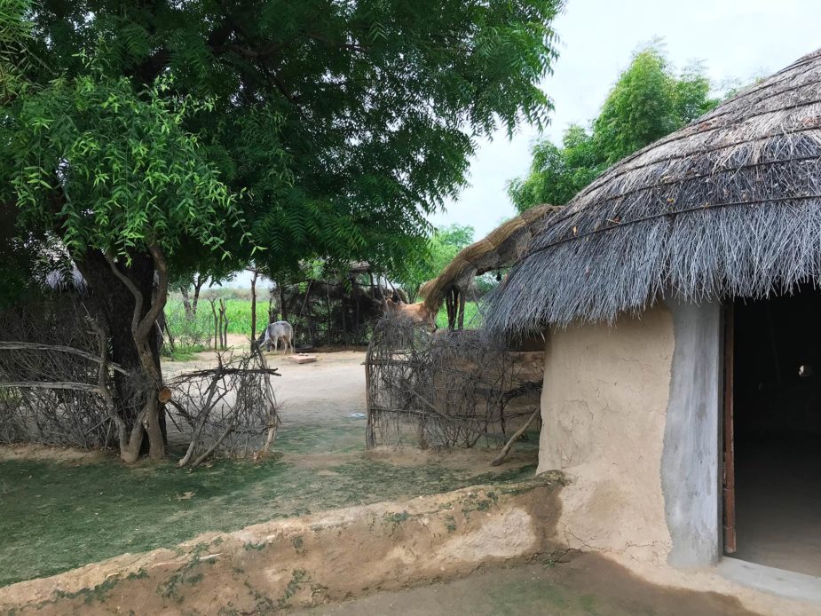 laura travel story india