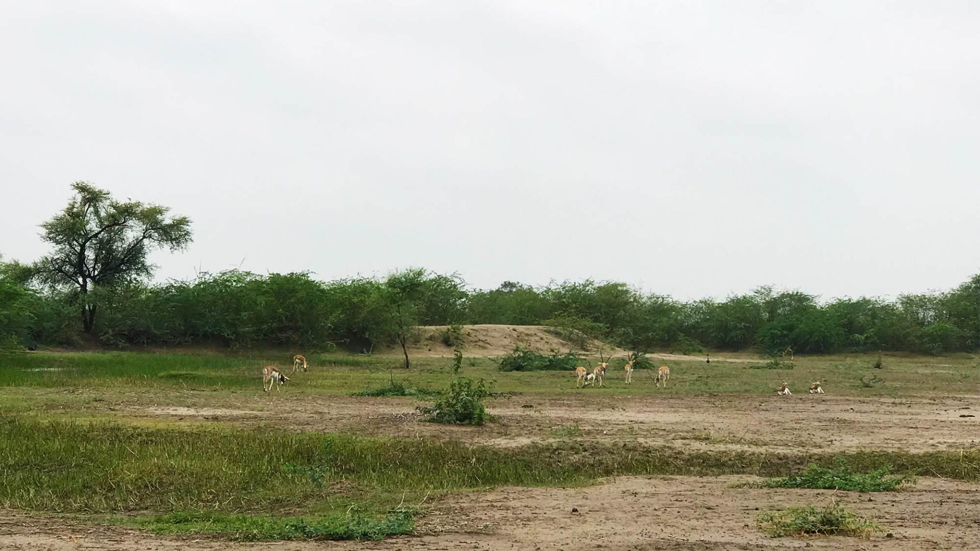 laura travel story india