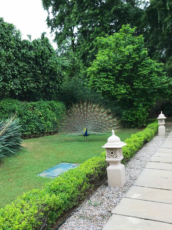 laura travel story india