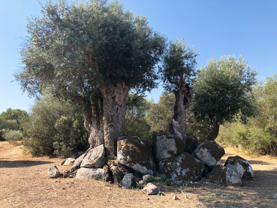 ana travel story alentejo