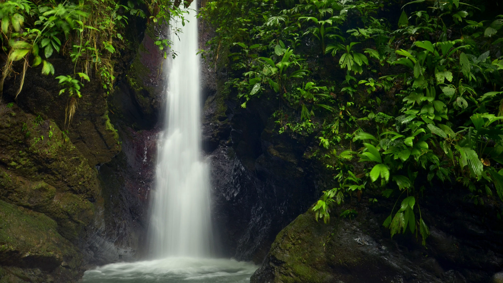 pacuare lodge