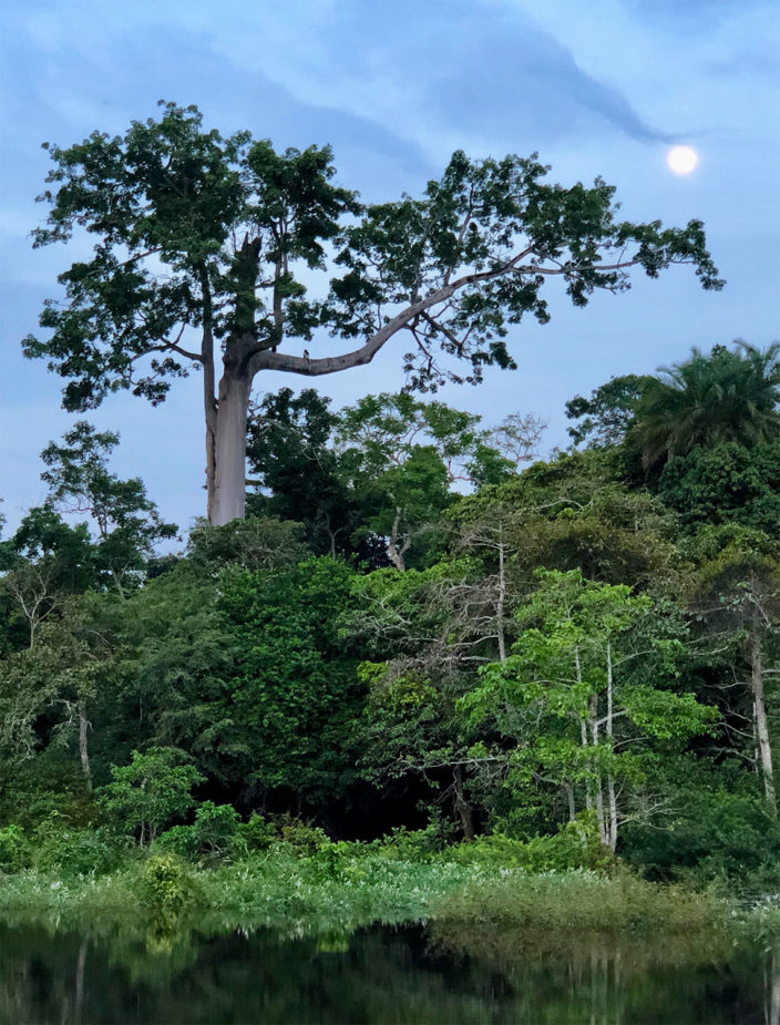 javi travel story congo