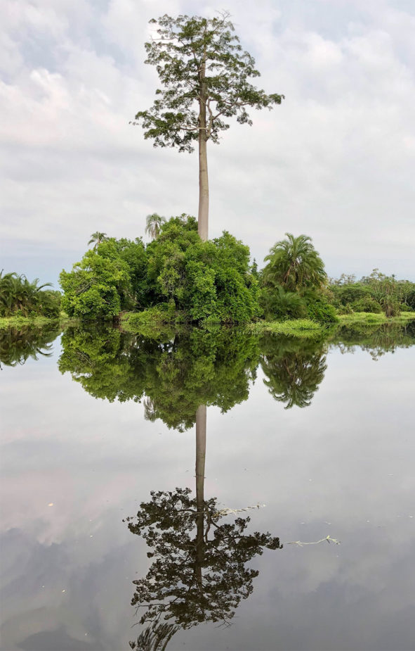 javi travel story congo