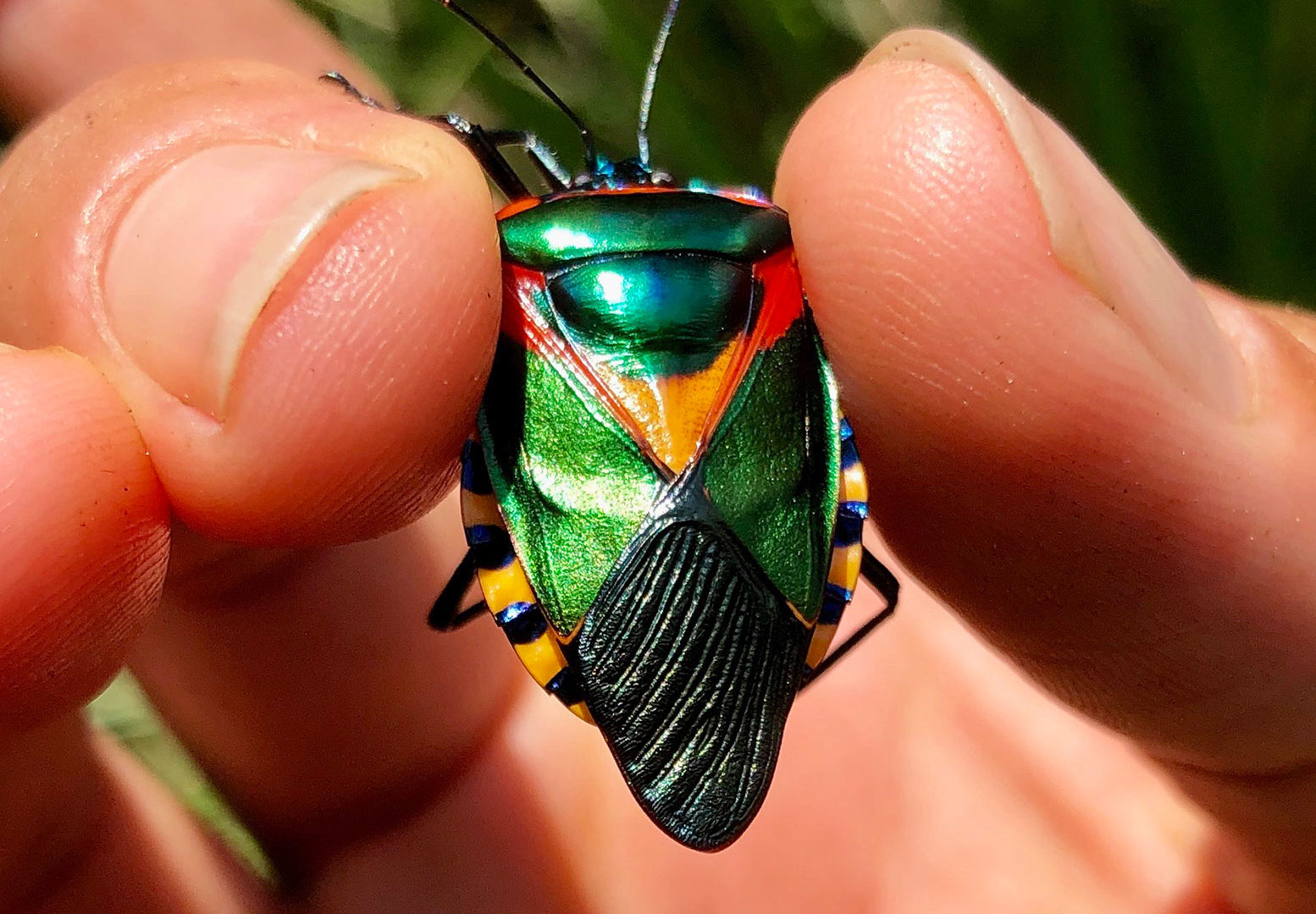 javi travel story congo