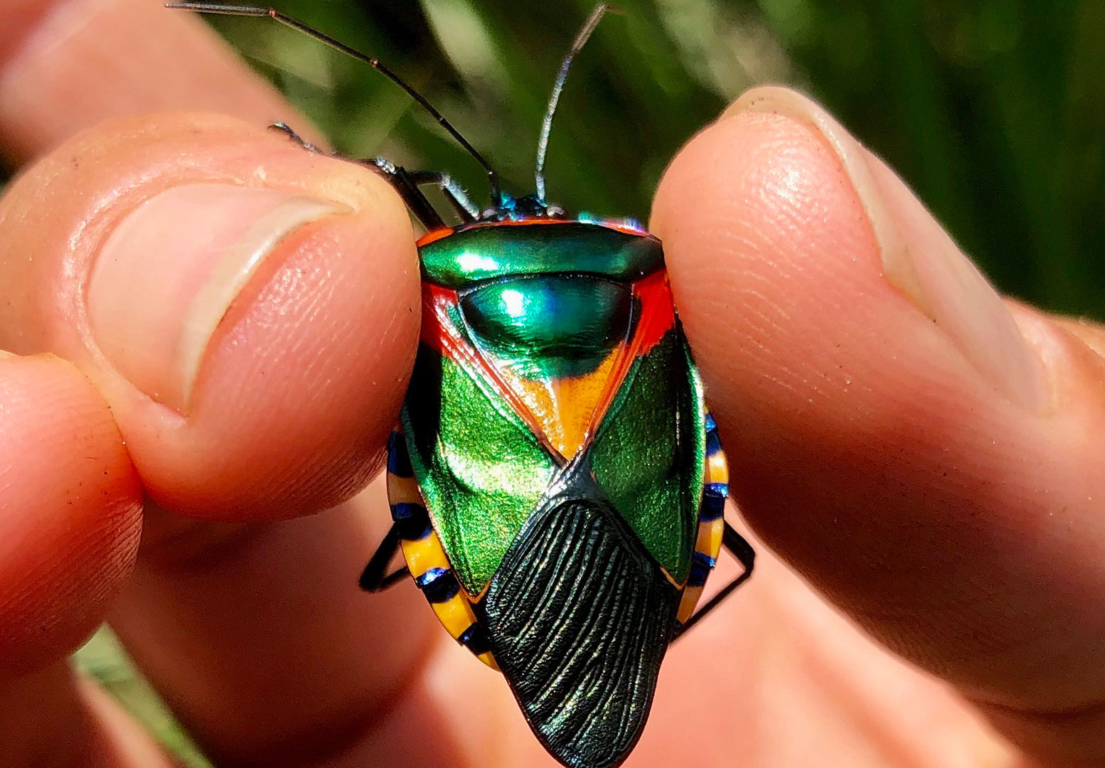 javi travel story congo