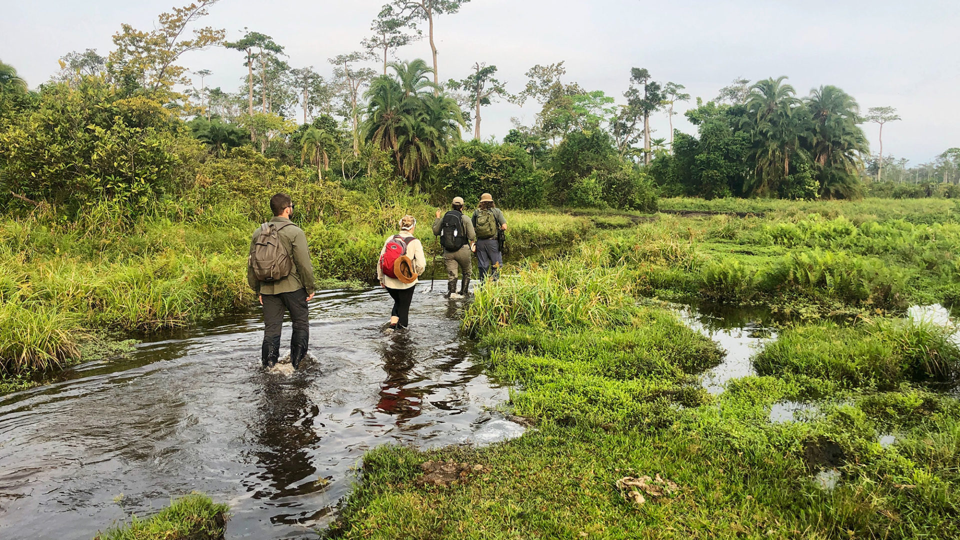 javi travel story congo