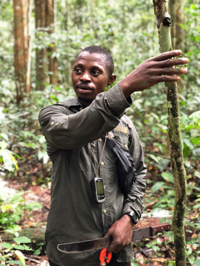 javi travel story congo