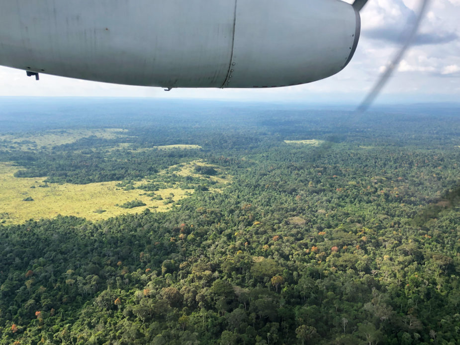 javi travel story congo