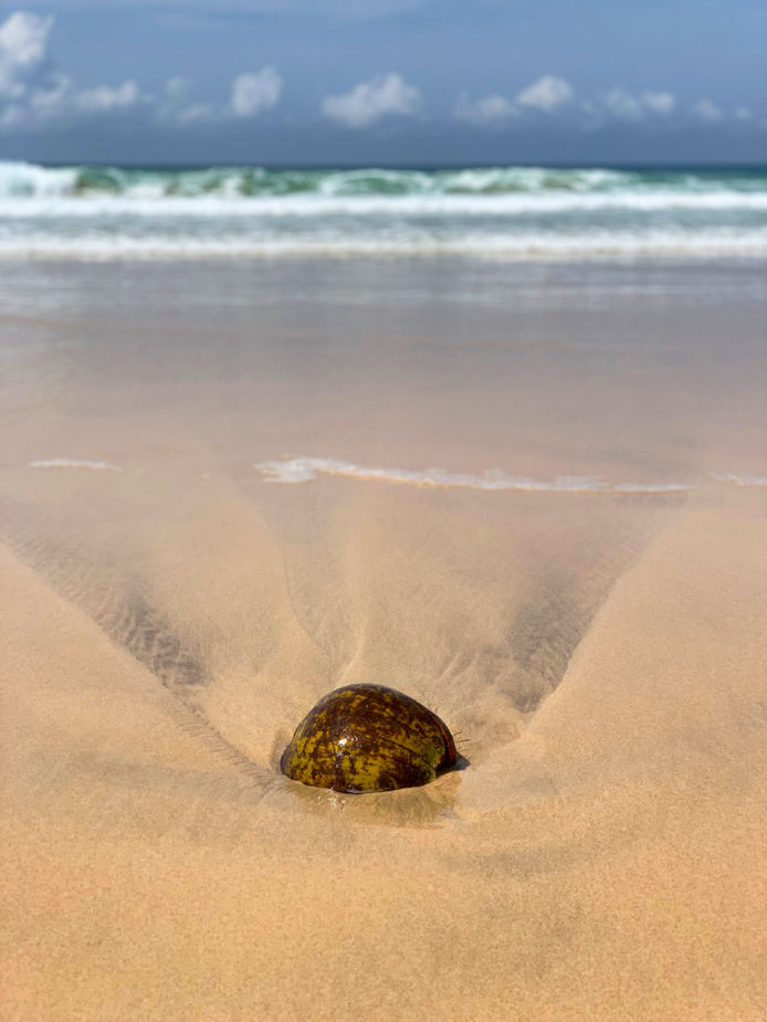 travel story ana laura bali