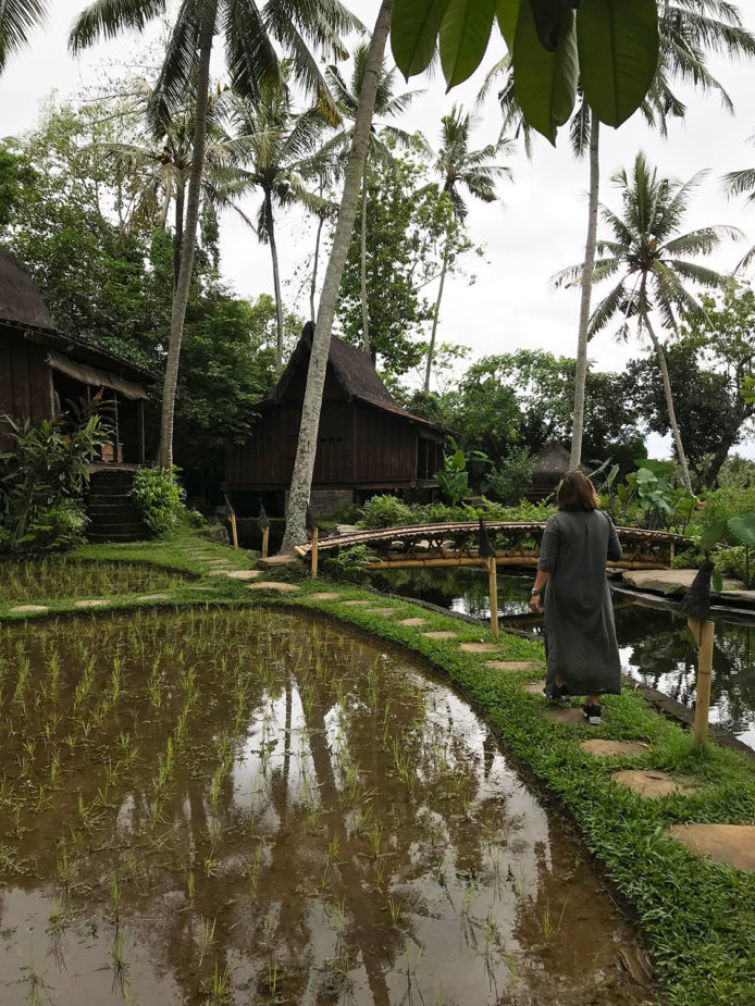 travel story ana laura bali