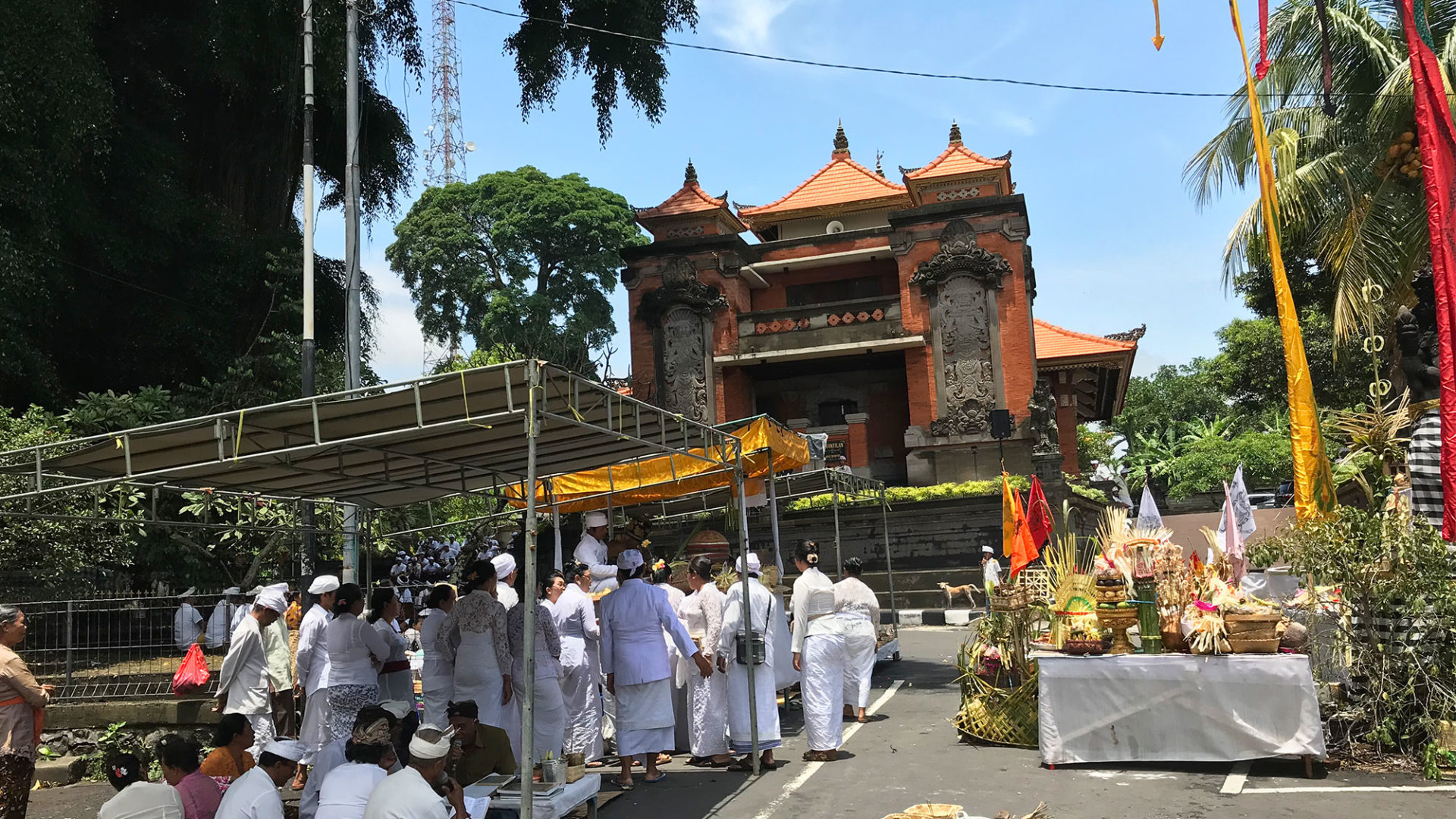 travel story ana laura bali