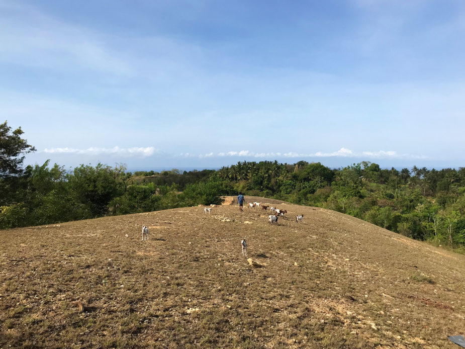 travel story ana laura bali