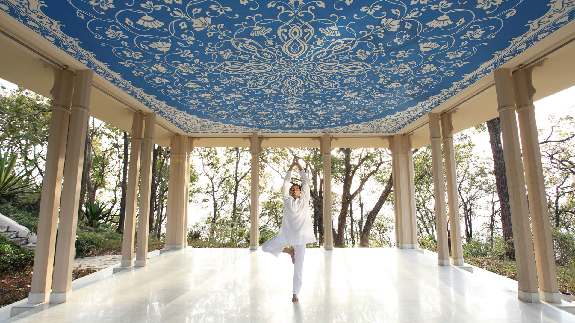 Ananda in the Himalayas