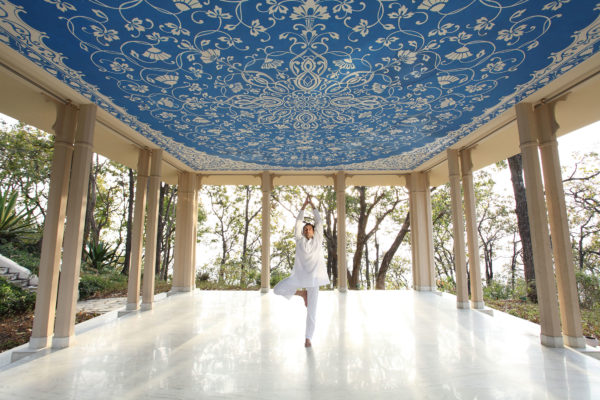 ananda in the himalayas