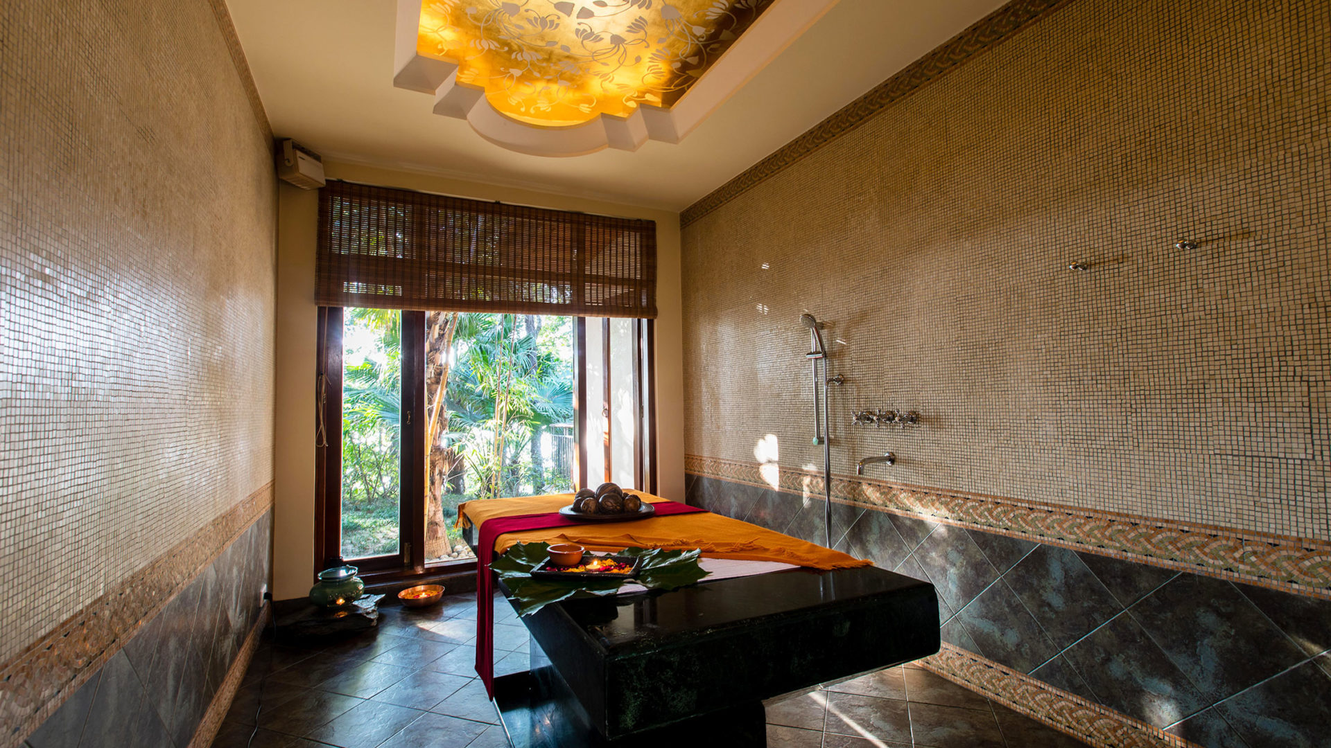 ananda in the himalayas