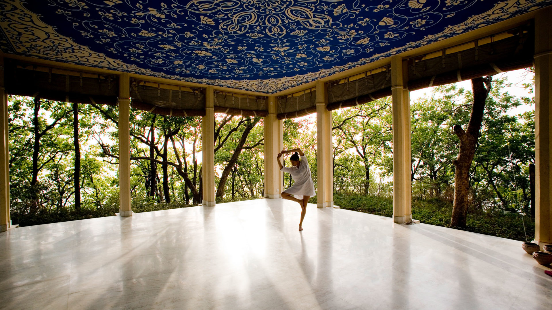 ananda in the himalayas