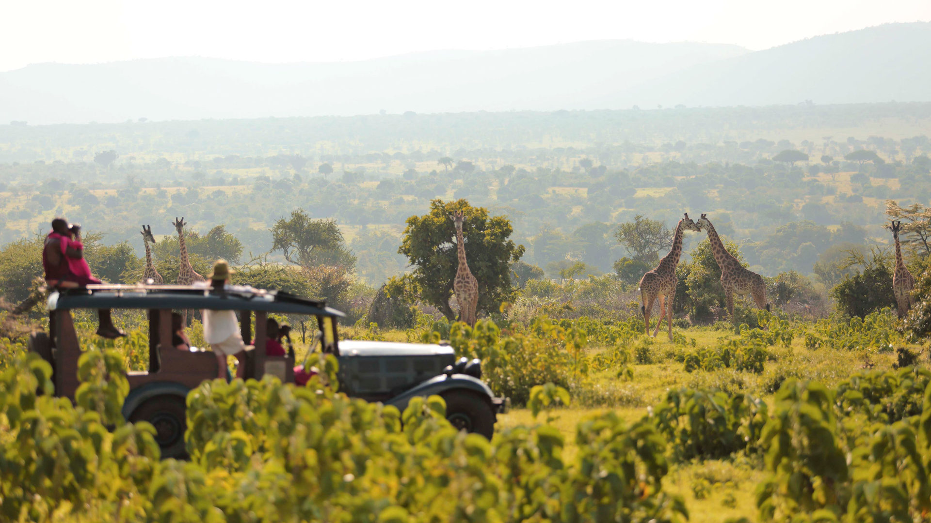 cottar's 1920s safari camp