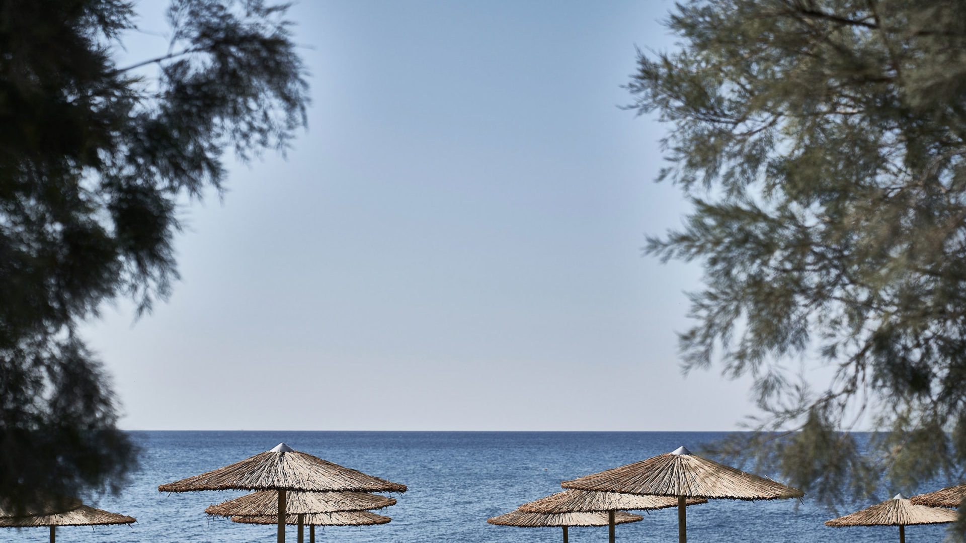 istoria hotel