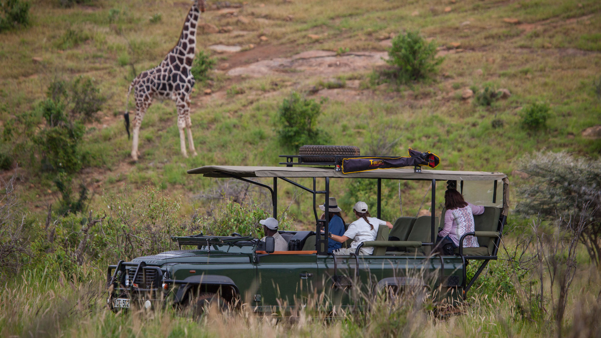 loisaba tented camp