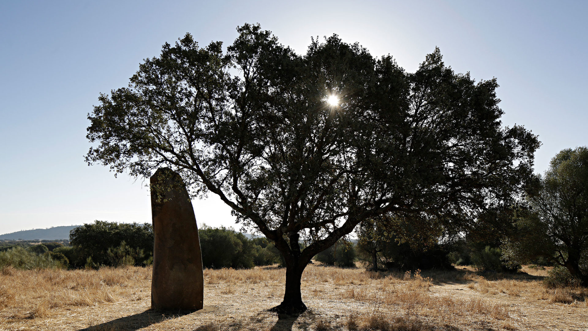 são lourenço do barrocal