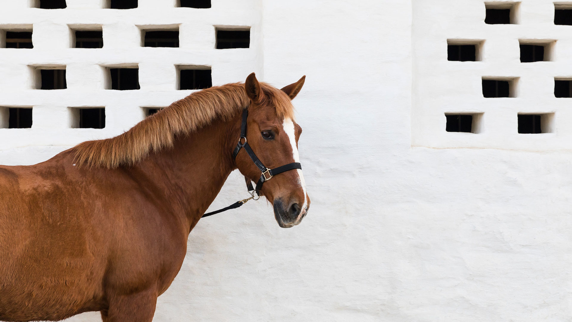 são lourenço do barrocal