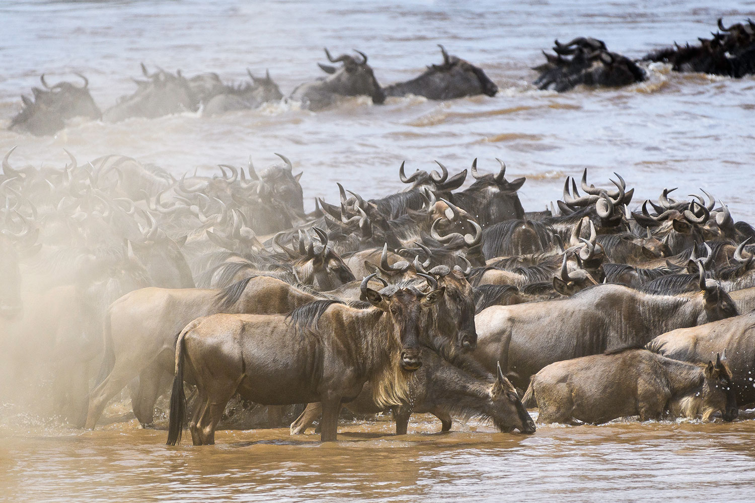 Bru&Bru Viajes exclusivos Kenia