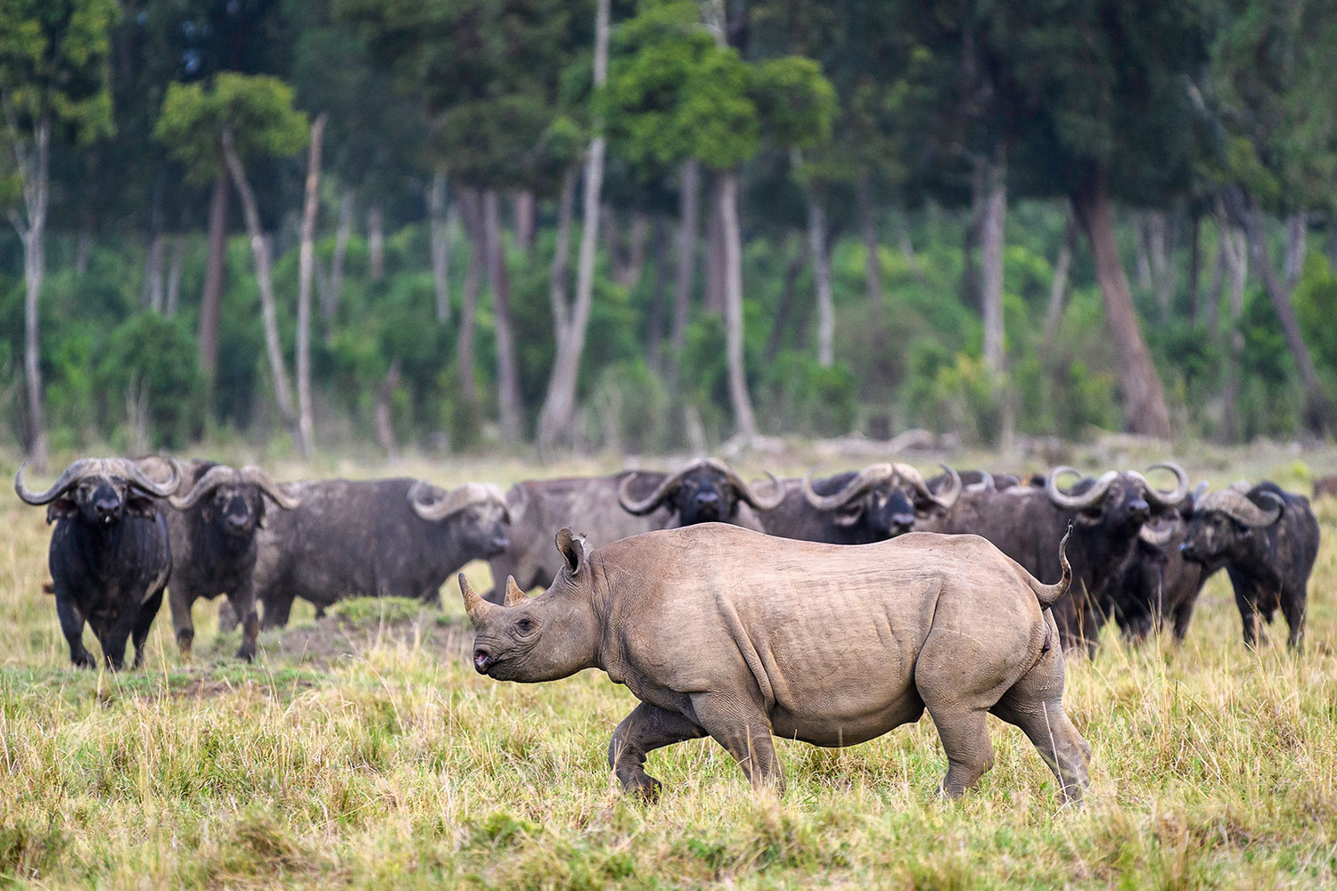 Bru&Bru Viajes exclusivos Kenia