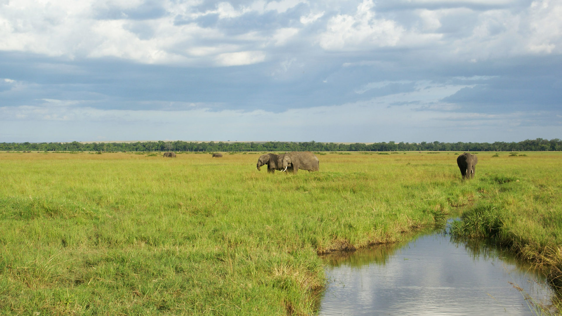 Bru&Bru Viajes exclusivos Kenia