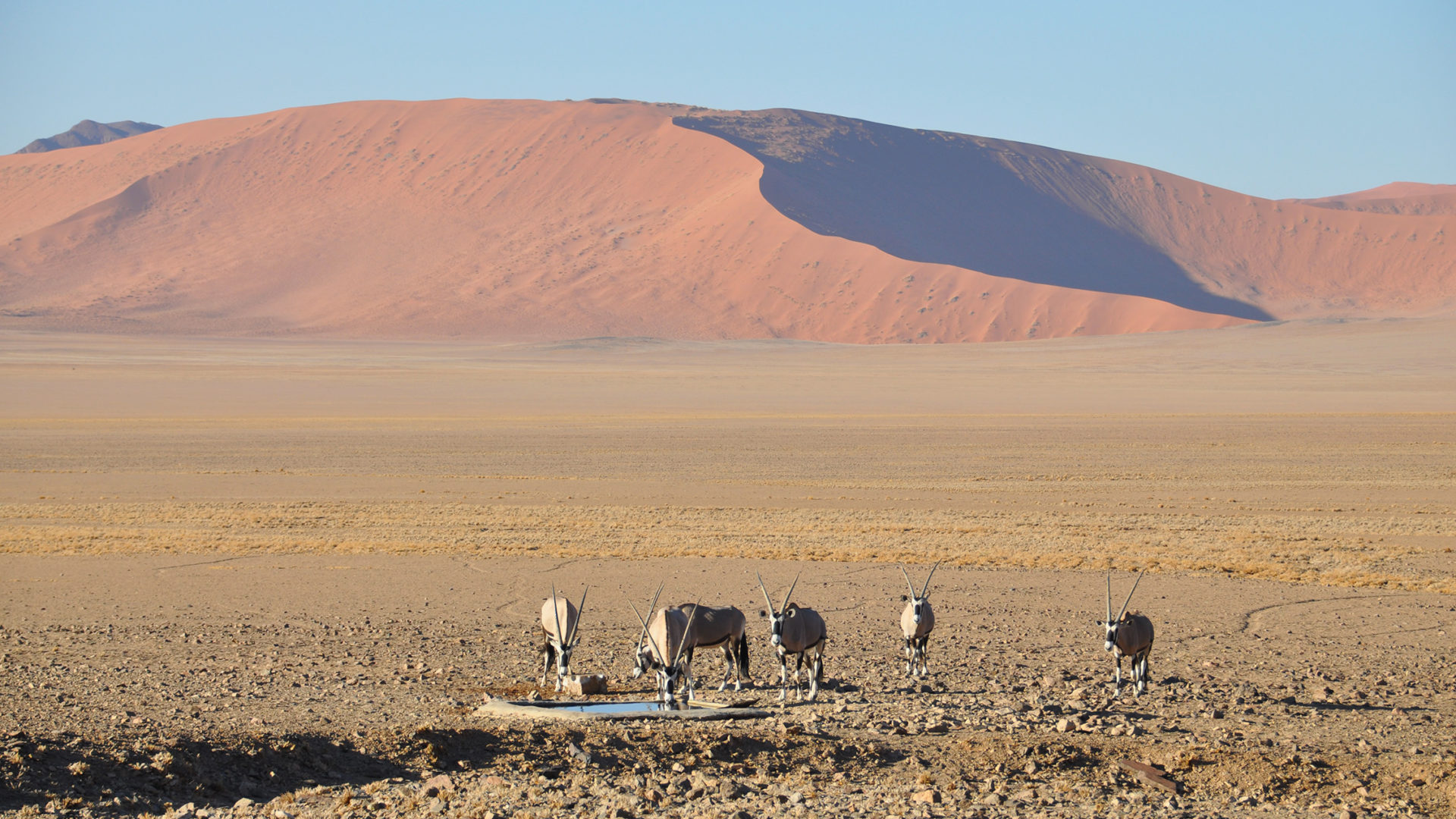 Namibia, otro mundo