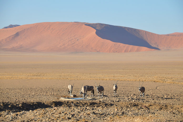 Namibia, another world