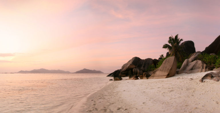 Wild Seychelles