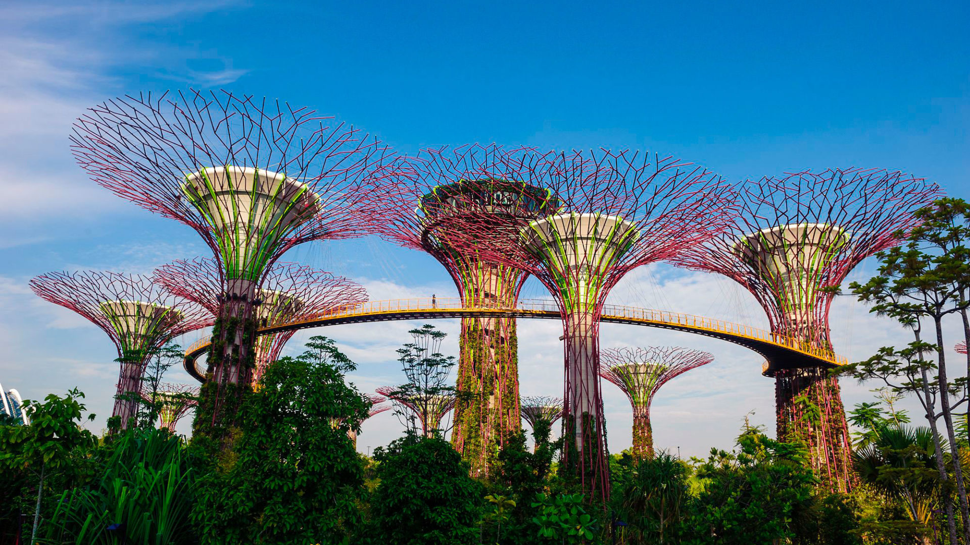 Singapore, city of contrasts