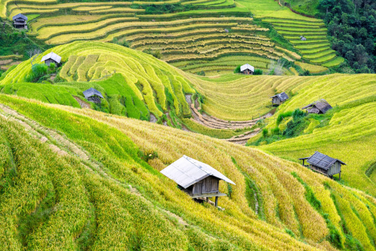 Discovering Vietnam