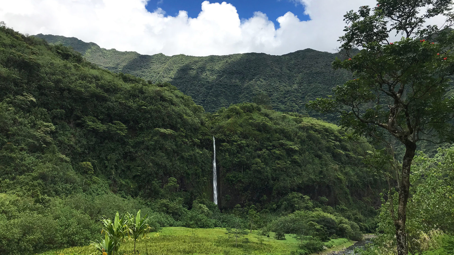 carol travel story polynesia