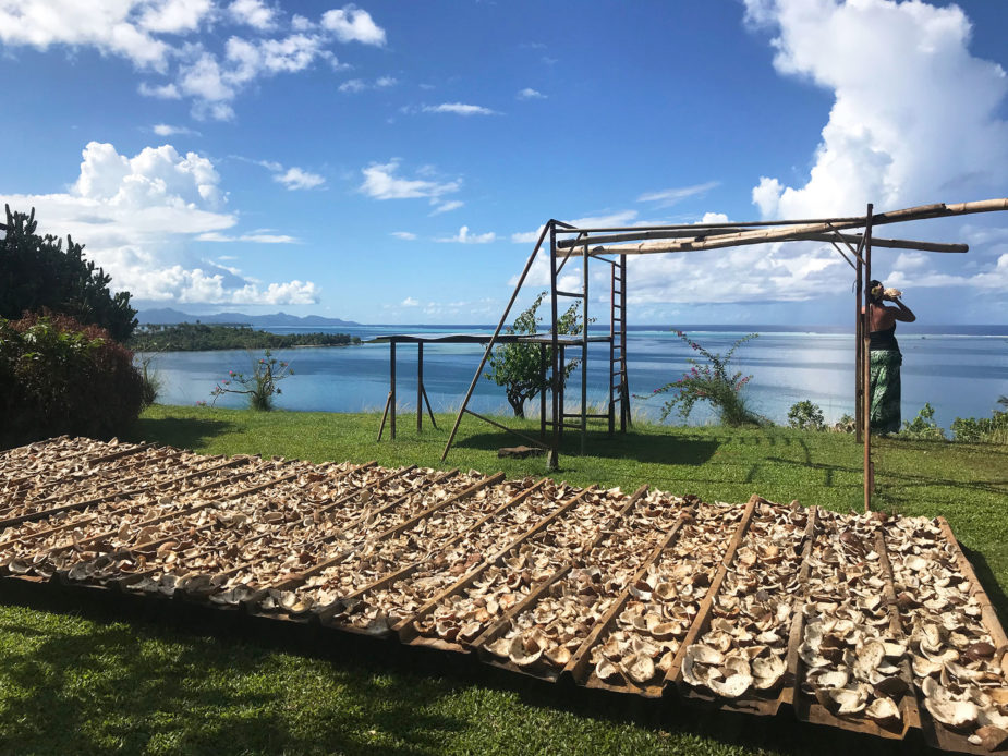 carol travel story polynesia