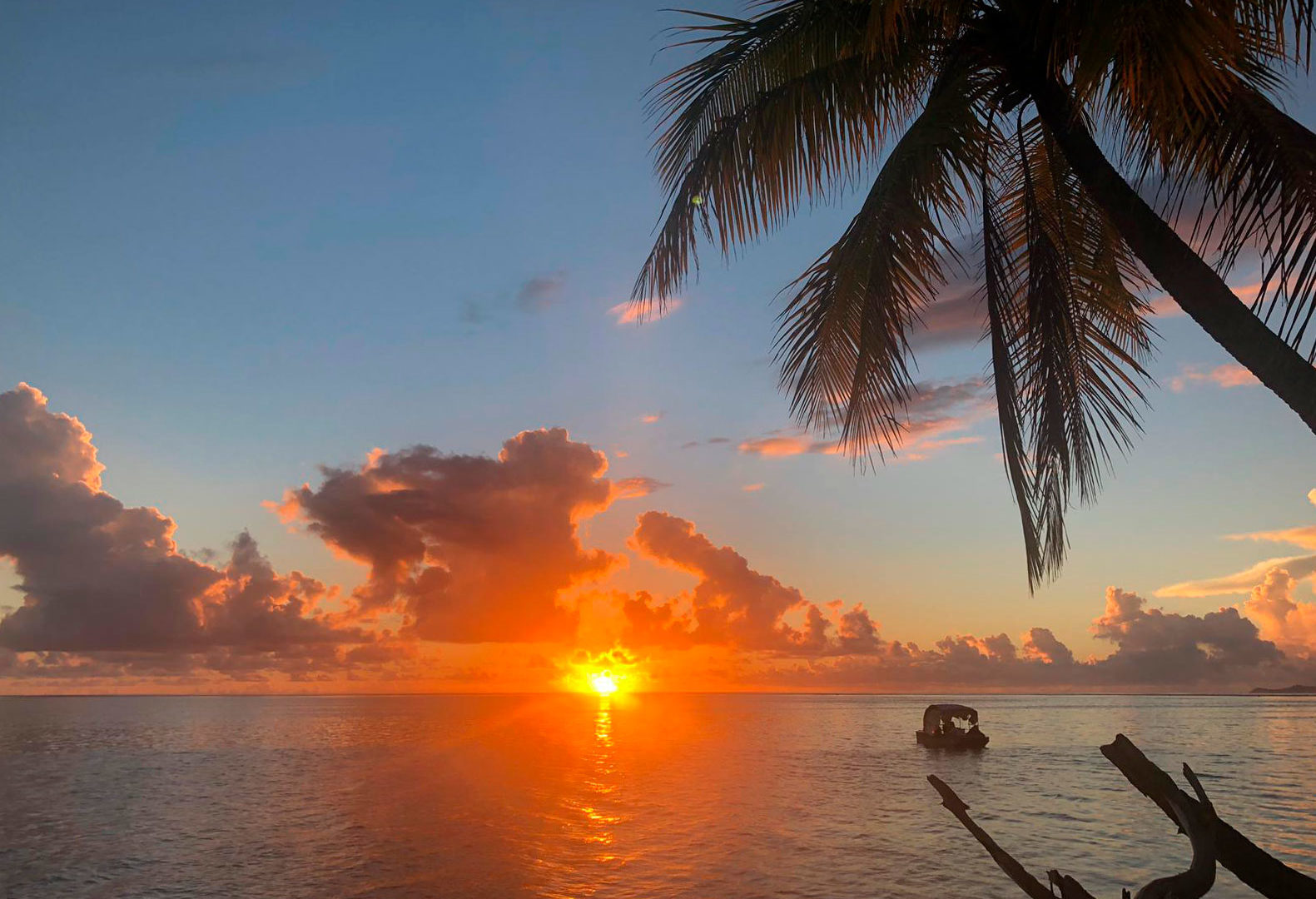 carol travel story polynesia