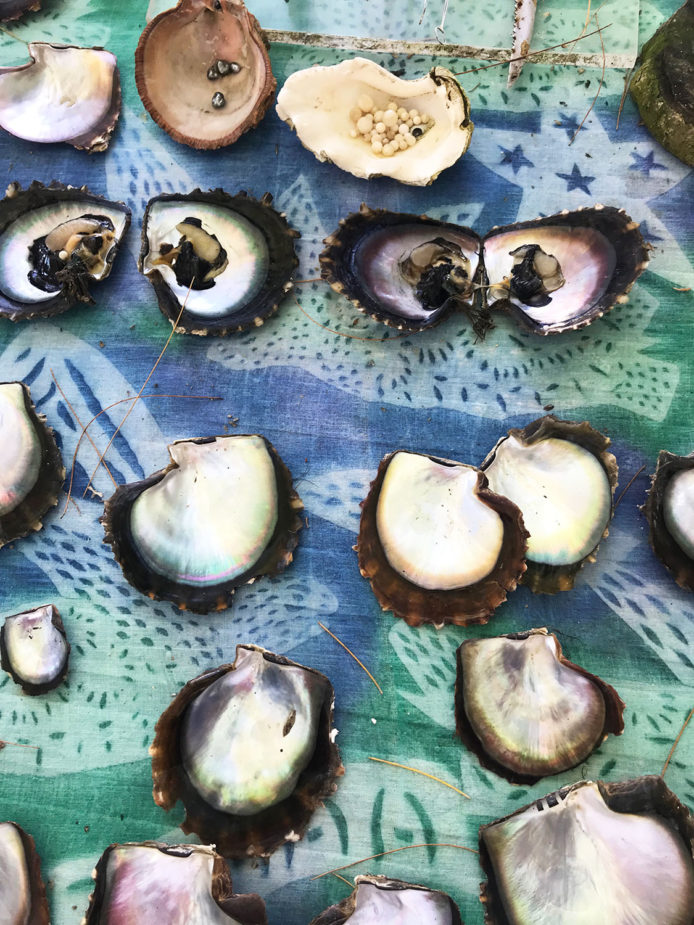 carol travel story polynesia