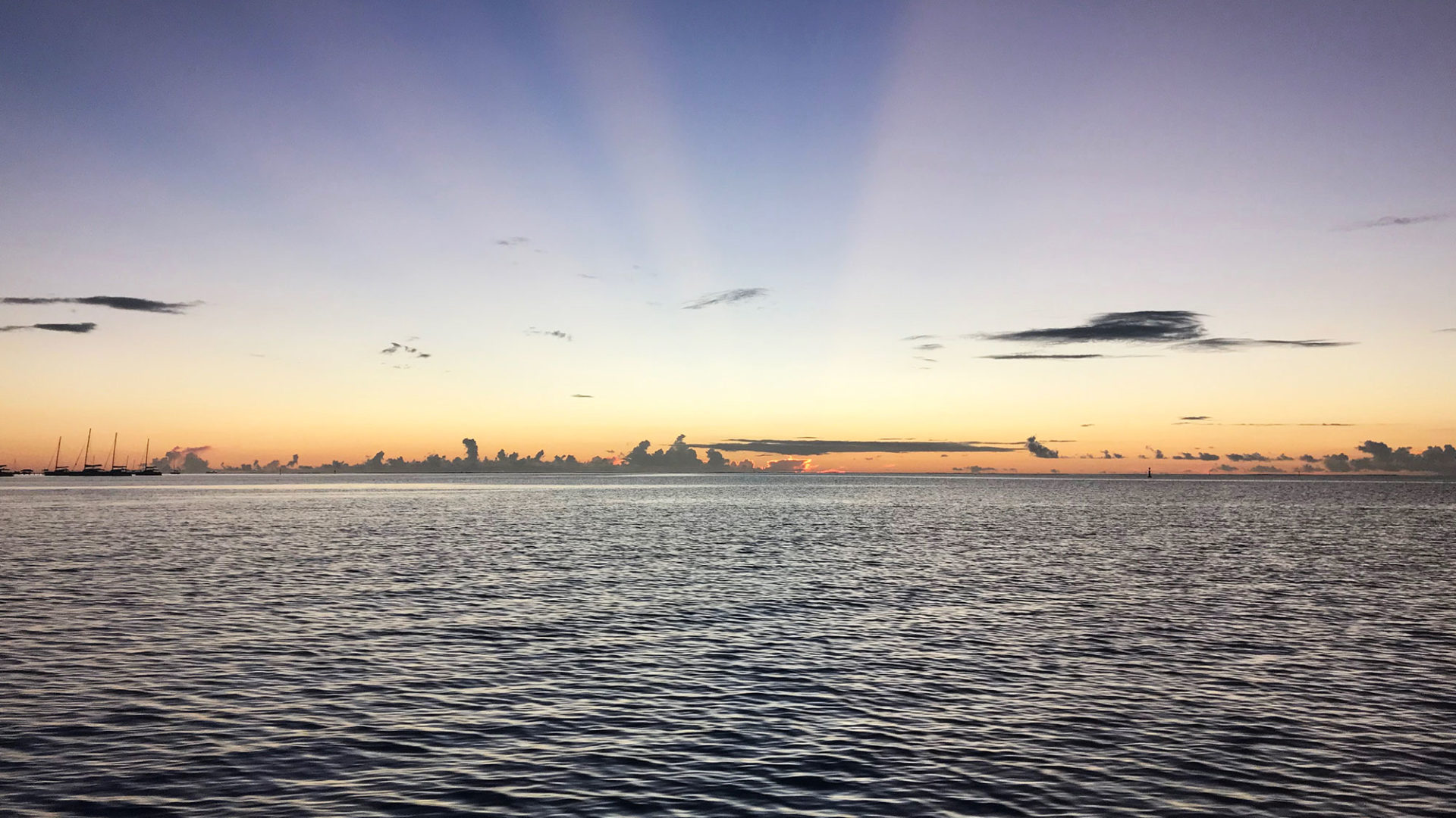 carol travel story polynesia