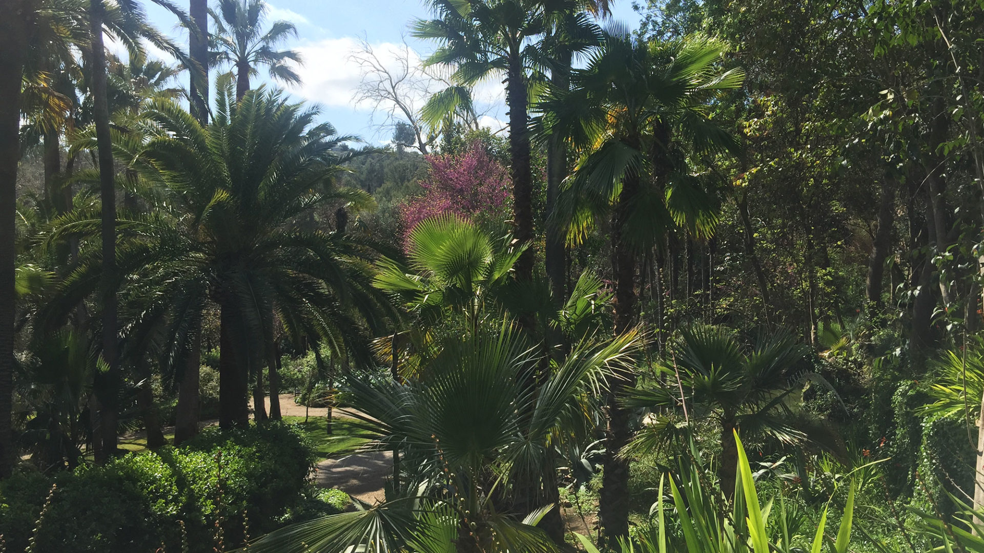 esther travel story canet