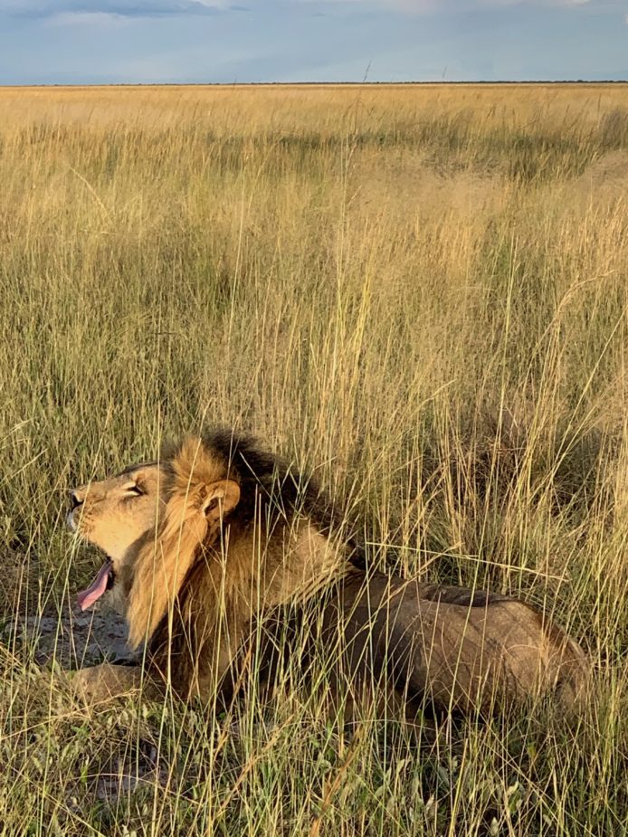 Zambia Travel Story Ana