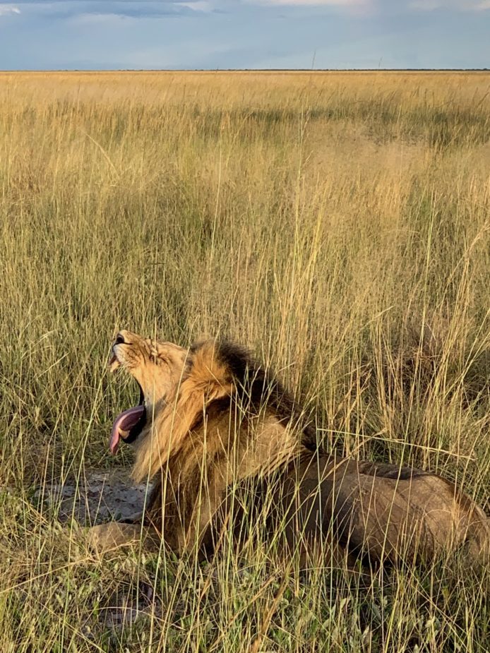 Zambia Travel Story Ana