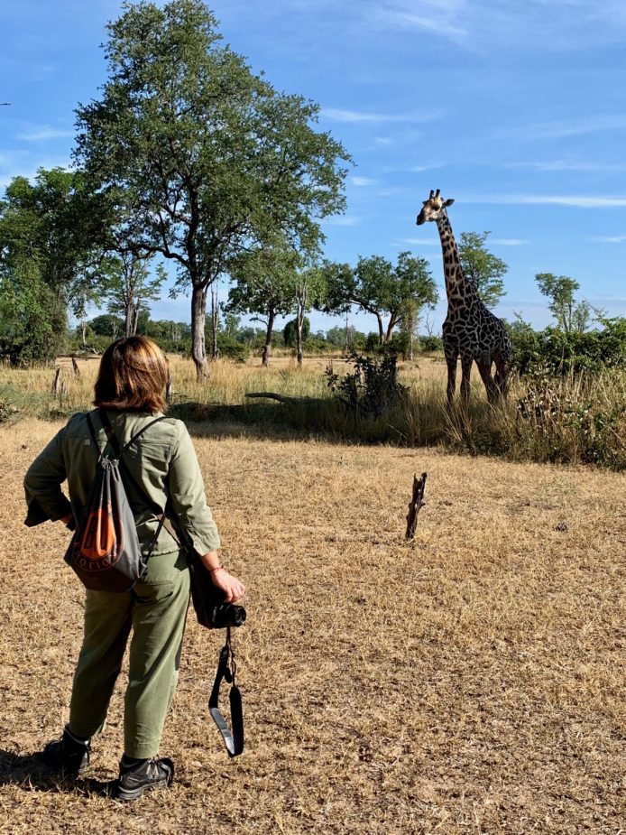 Zambia, back to the essence