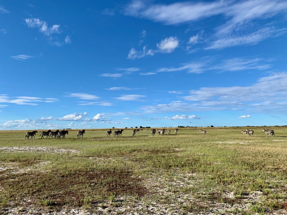 Zambia Travel Story Ana